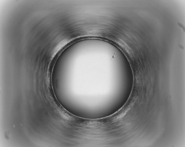 X0000093391077200710251235