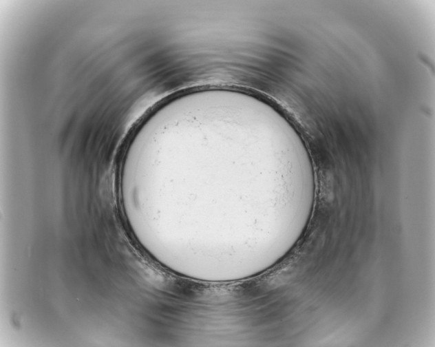 X0000093391078200710251235