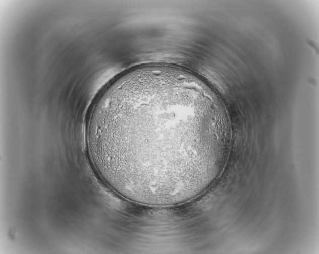 X0000093391079200710251235