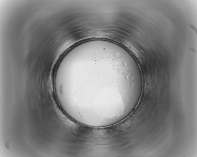 X0000093391080200710251235