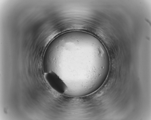 X0000093391081200710251235