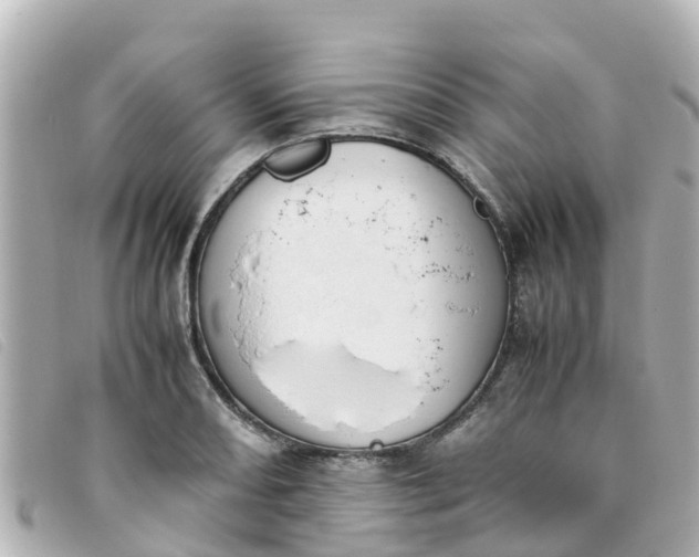 X0000093391082200710251235