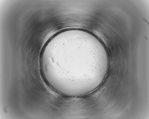 X0000093391085200710251235