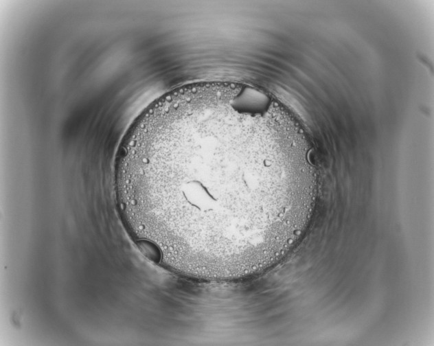 X0000093391087200710251235