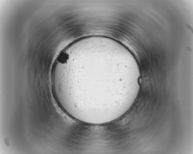 X0000093391088200710251235