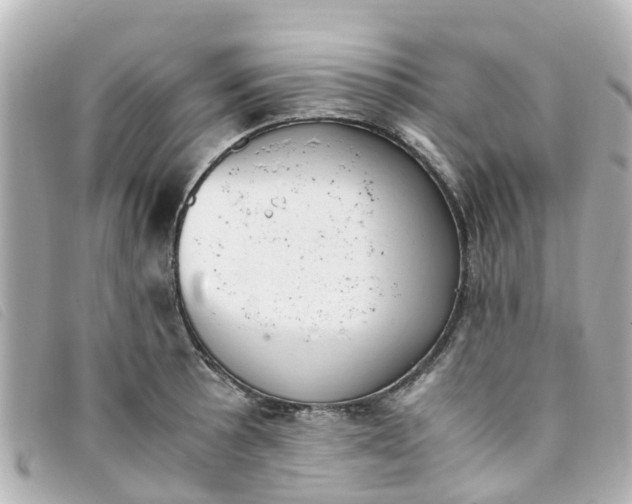 X0000093391089200710251235