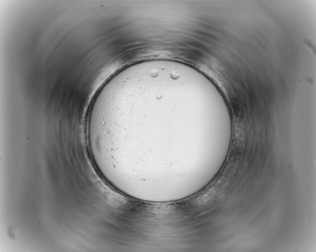 X0000093391090200710251235