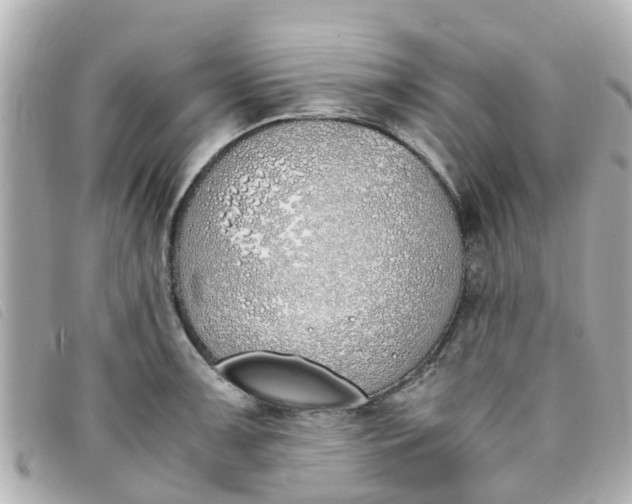 X0000093391091200710251235