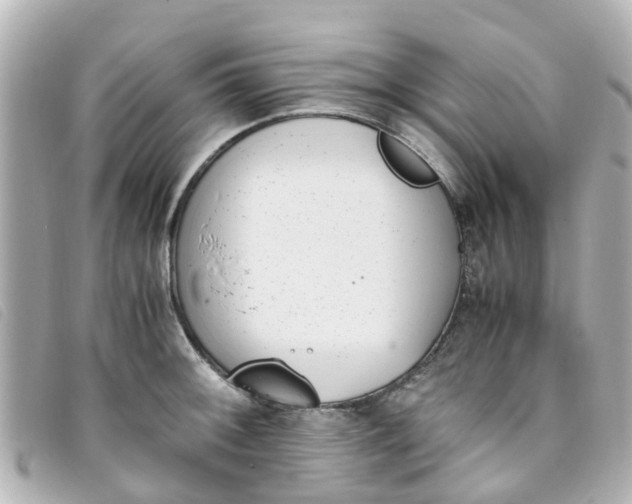 X0000093391092200710251235