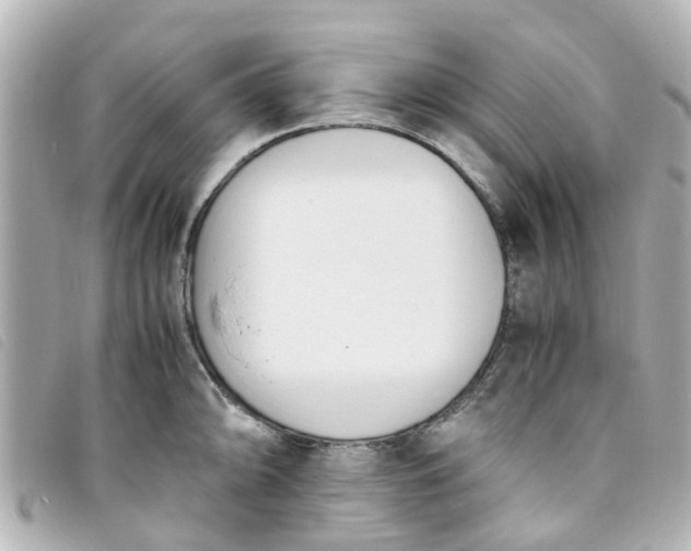 X0000093391094200710251235