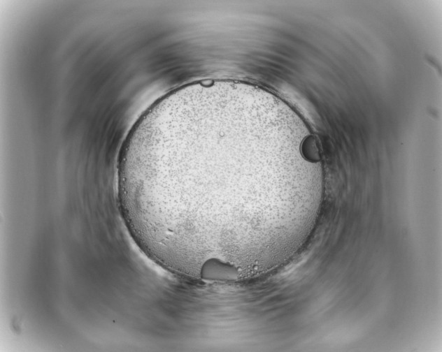 X0000093391095200710251235