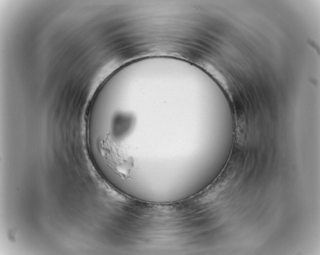 X0000093391096200710251235