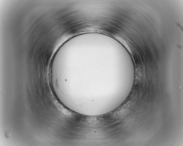 X0000093391098200710251235