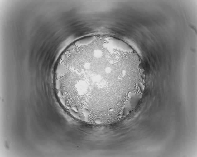 X0000093391099200710251235