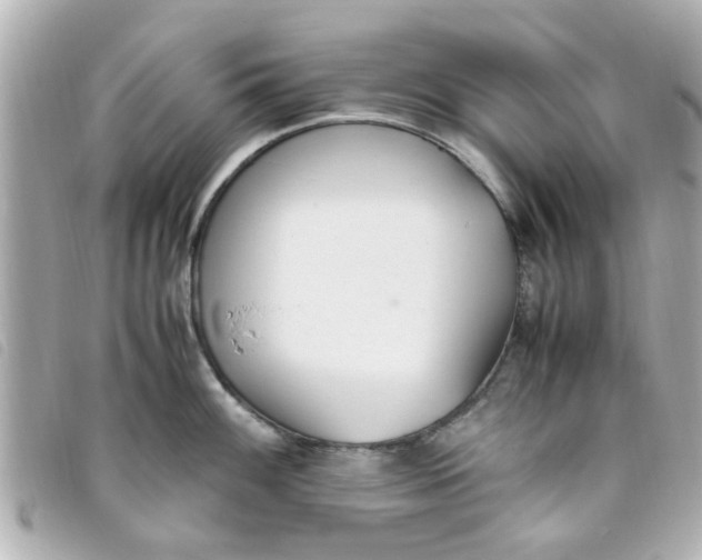 X0000093391100200710251235