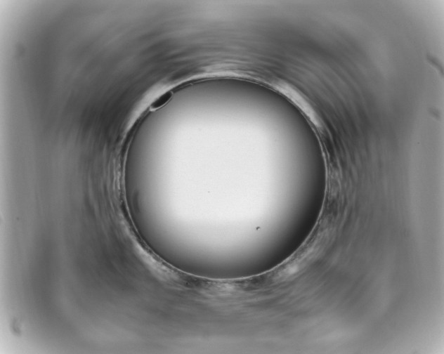 X0000093391101200710251235