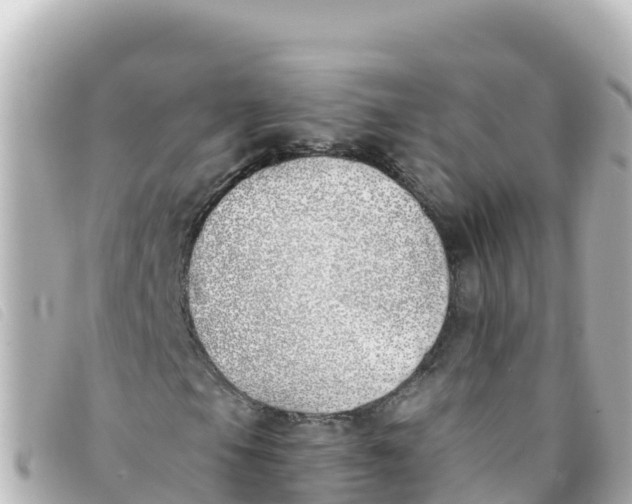 X0000093391105200710251234