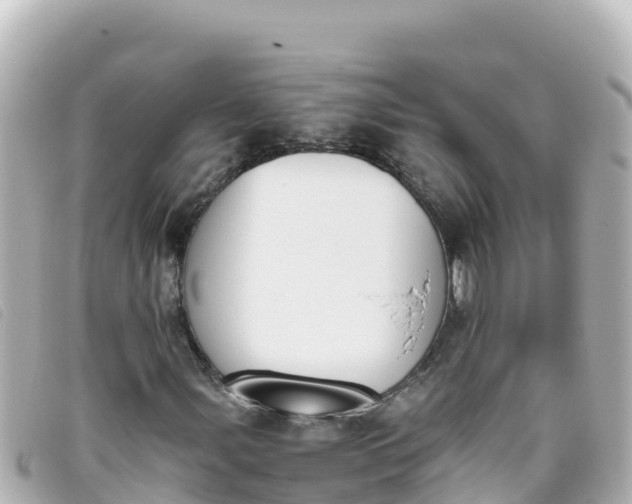 X0000093391107200710251234