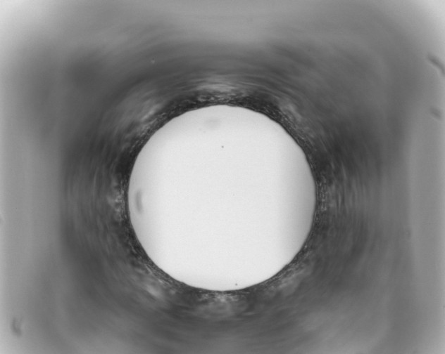 X0000093391109200710251234