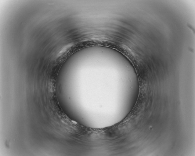 X0000093391110200710251234