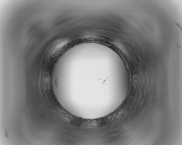 X0000093391111200710251234