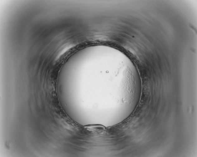 X0000093391112200710251234