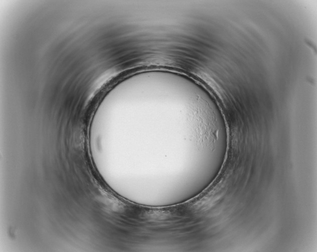 X0000093391115200710251234