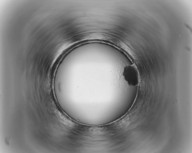 X0000093391116200710251234