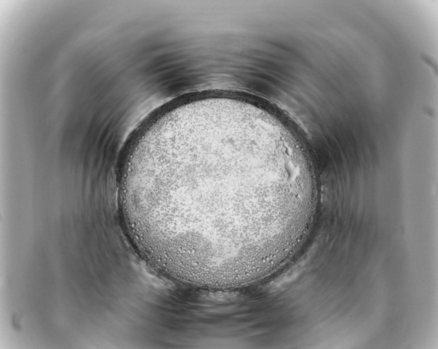 X0000093391117200710251234