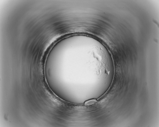 X0000093391118200710251234