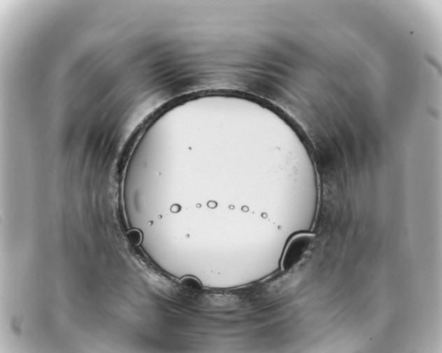 X0000093391119200710251234