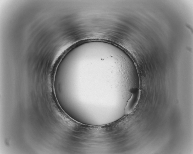 X0000093391120200710251234