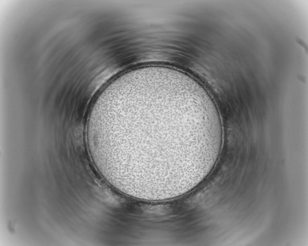 X0000093391121200710251234