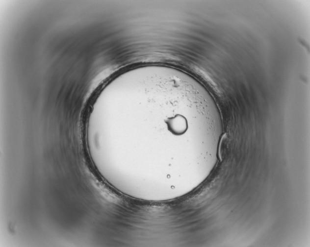 X0000093391122200710251234