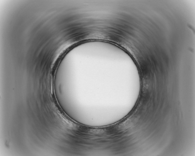 X0000093391123200710251234