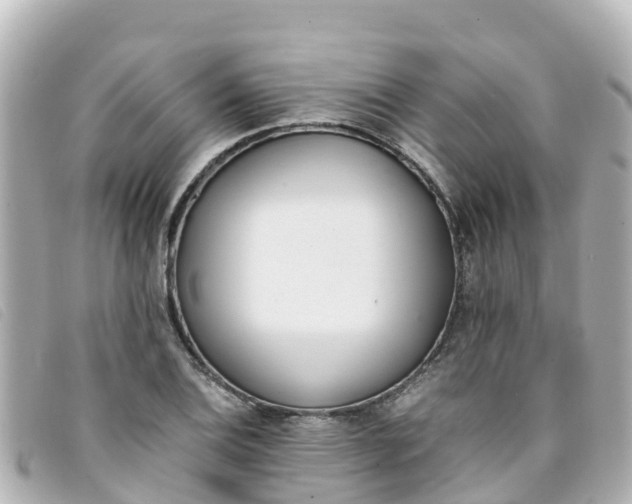 X0000093391124200710251234