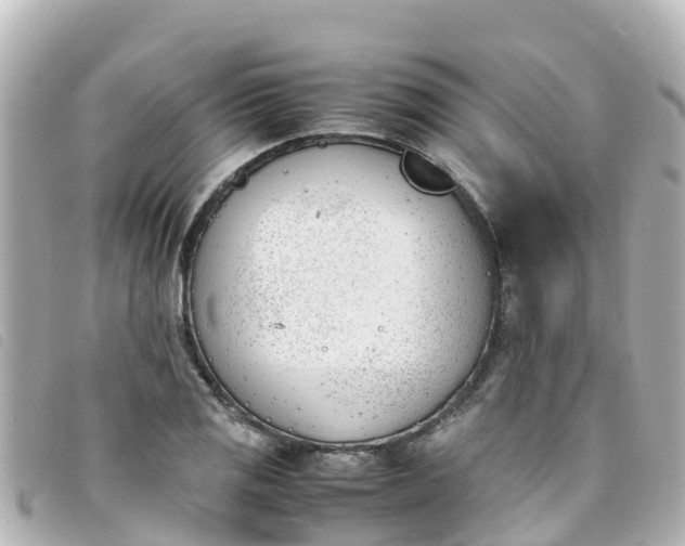 X0000093391125200710251234