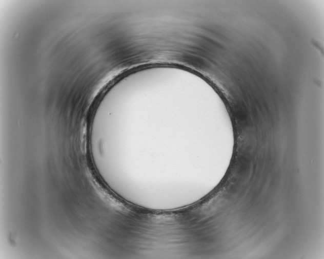 X0000093391126200710251234