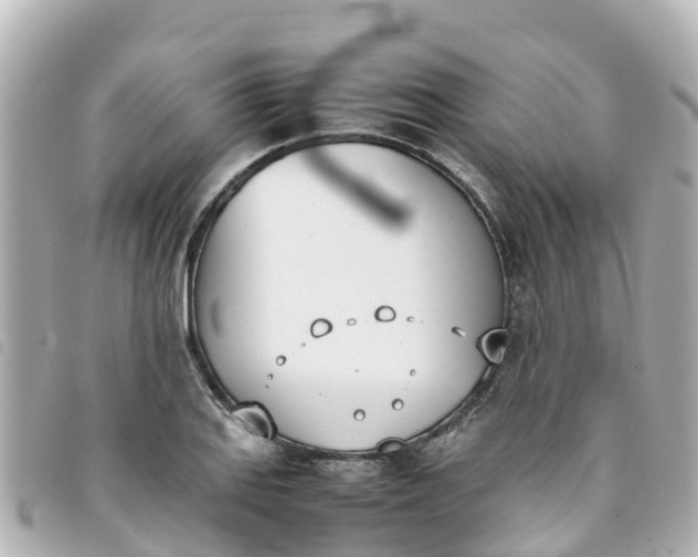 X0000093391127200710251235