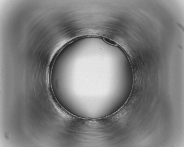 X0000093391128200710251235