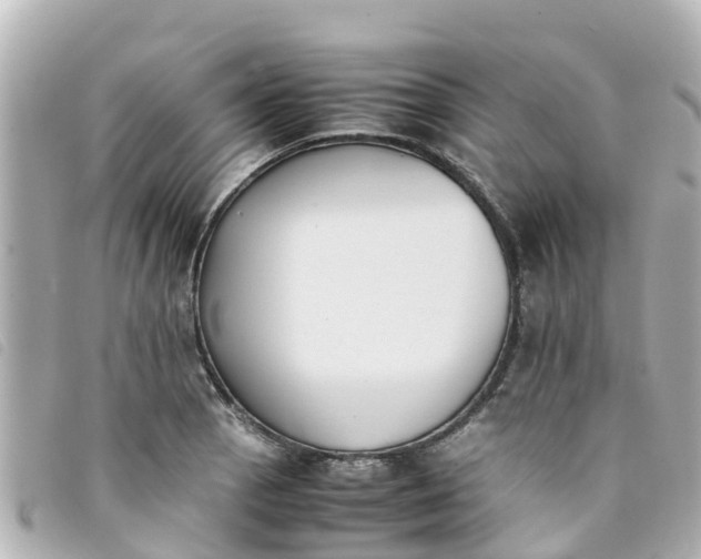 X0000093391129200710251235