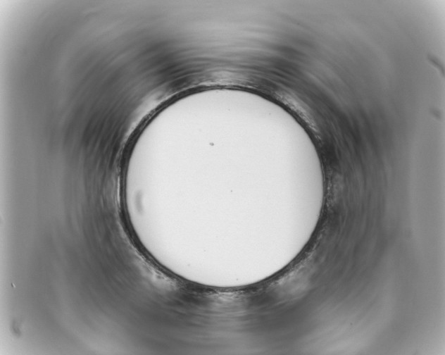 X0000093391130200710251235