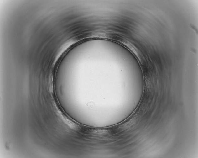 X0000093391131200710251235