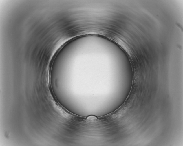 X0000093391132200710251235