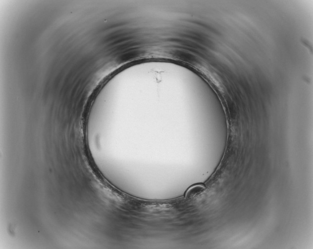 X0000093391133200710251235