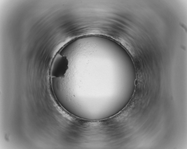 X0000093391134200710251235