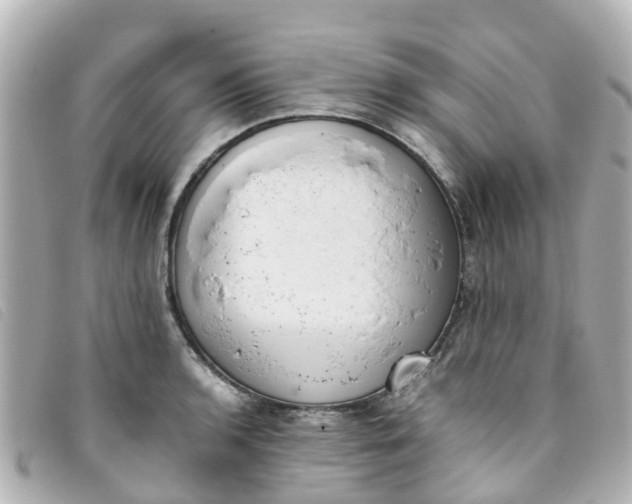 X0000093391136200710251235