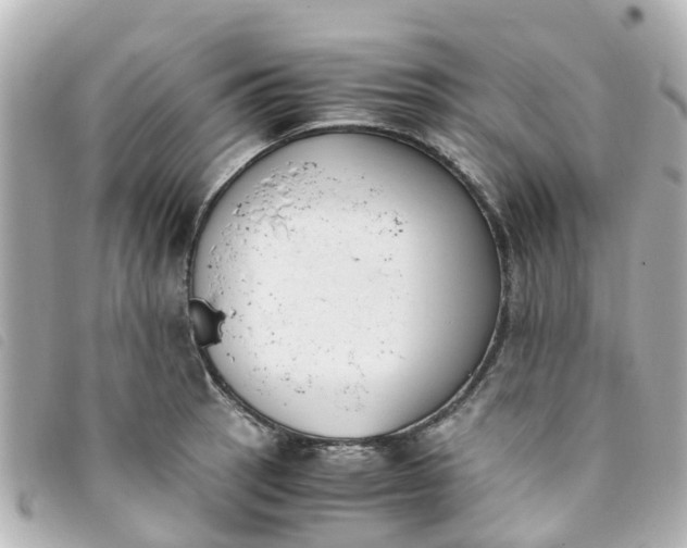 X0000093391137200710251235