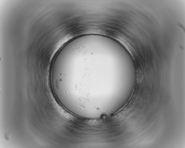 X0000093391139200710251235