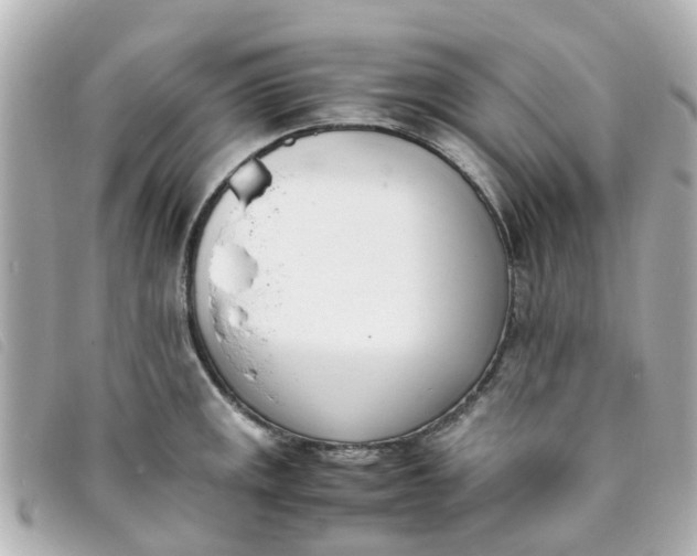 X0000093391141200710251235